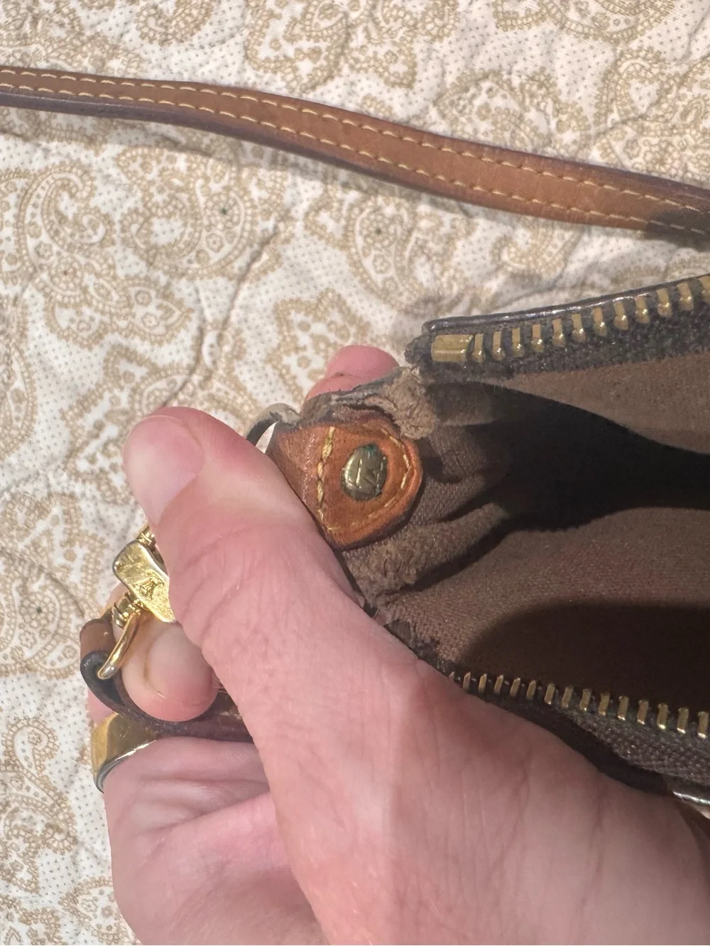 Louis Vuitton Eva Pochette